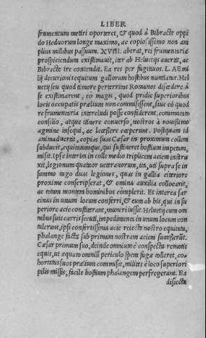 VIII v