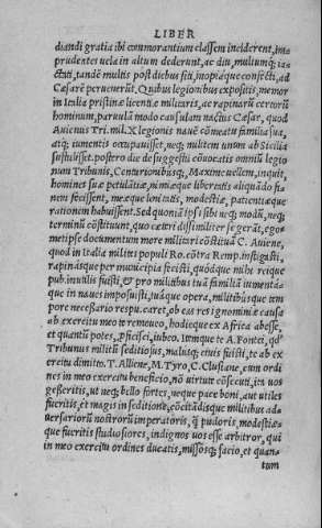 CCXXXI v