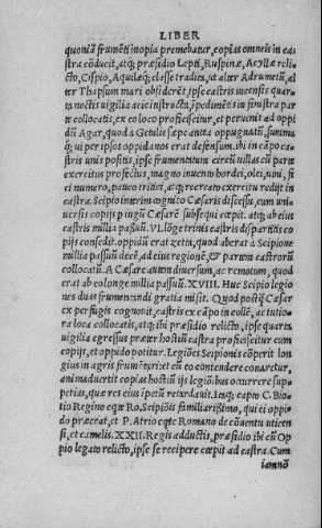 CCXXXV v