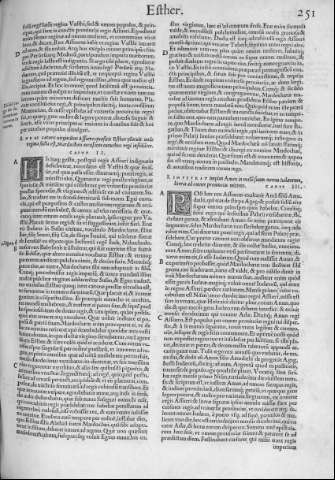 251