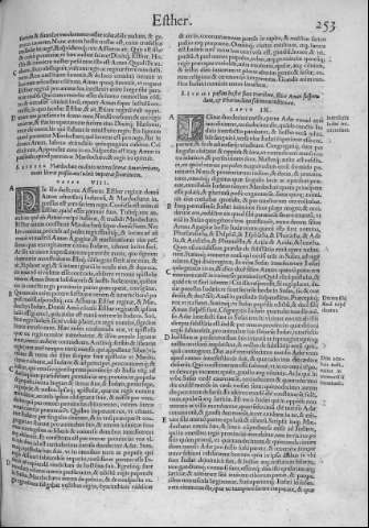 253