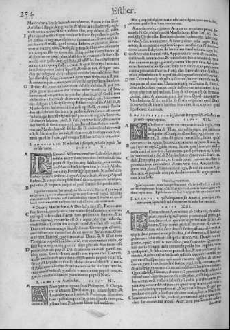 254