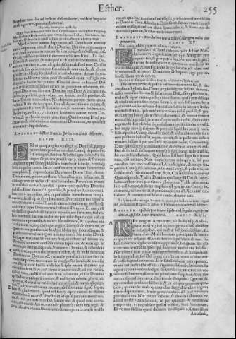 255