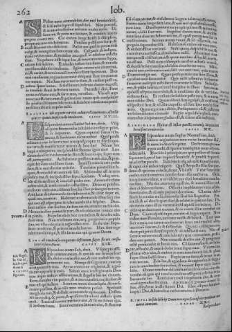 262