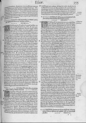 355