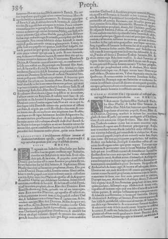 384