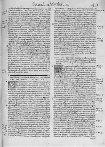 491