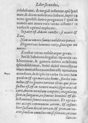 161v