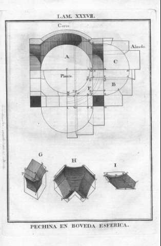 LAM. XXXVII