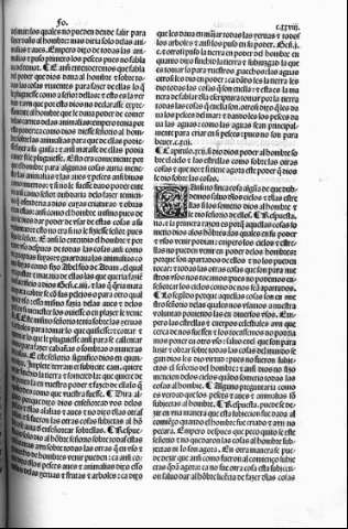 cxxviii