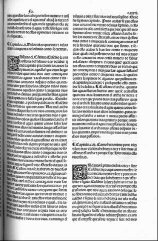 cxxxvi