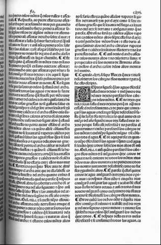 clxvi