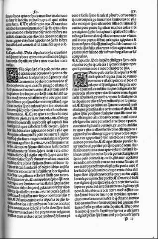 cxv