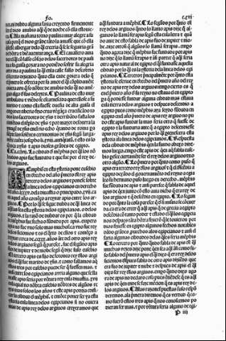 cxvi