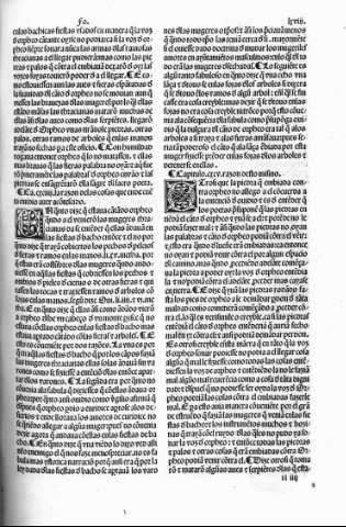lxviii