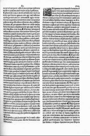 xlviii