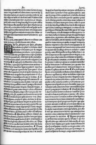 lxxviii