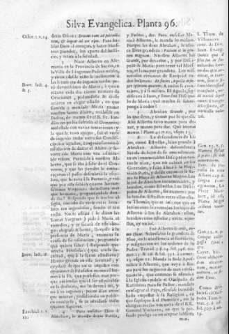 [CCXVI]