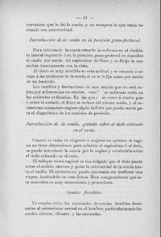 41