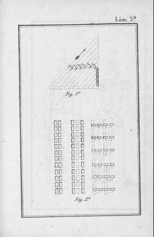 Lám. 3ª