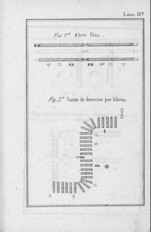 Lám. 11ª