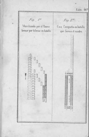 Lám. 16ª