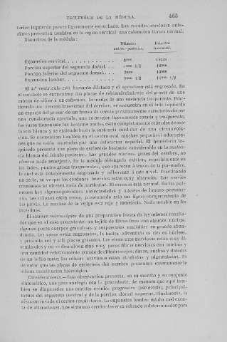 463