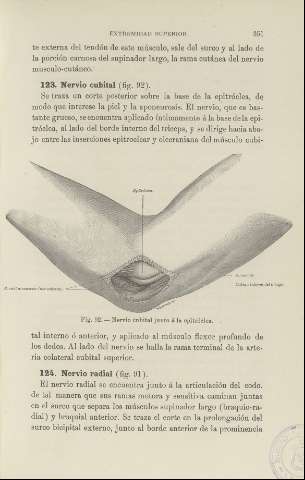 351