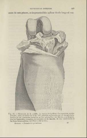 449