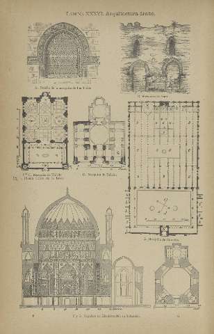 LÁMINA XXXVI