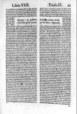 43