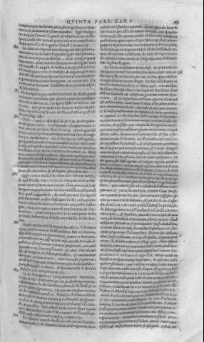 383