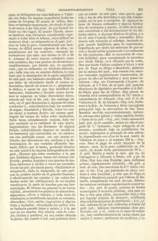 231