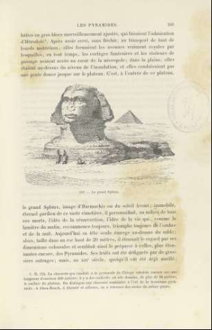 243