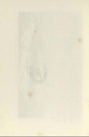 384