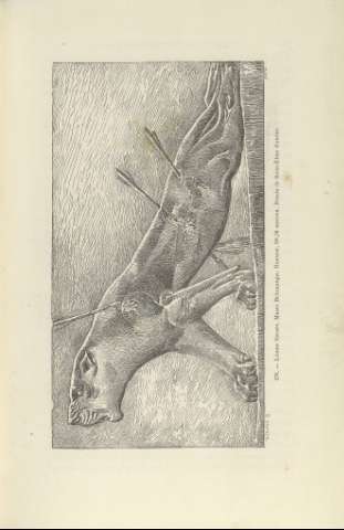 573