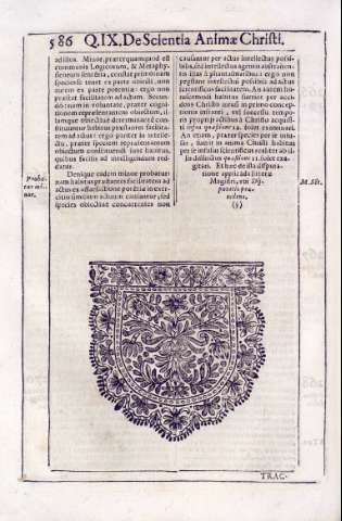 586