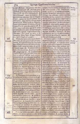 384
