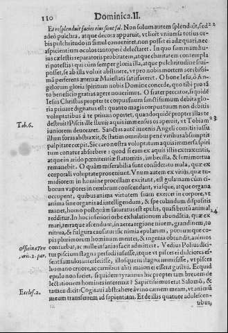 110