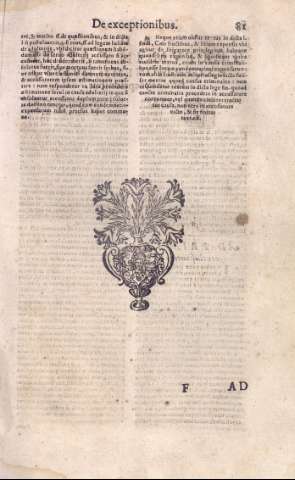 81