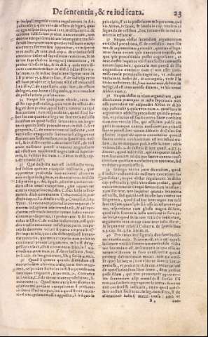 23