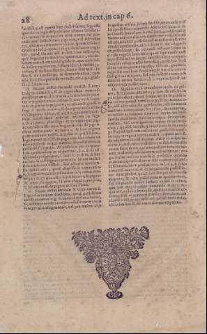 28