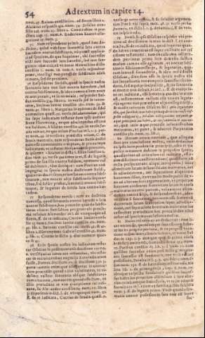 54
