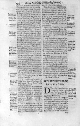244