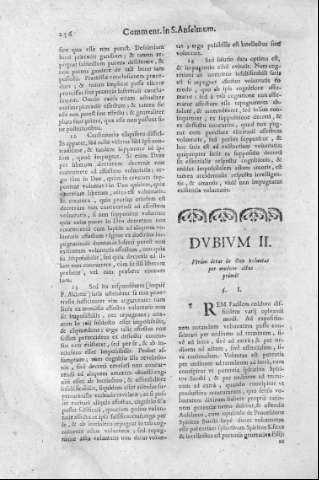 256