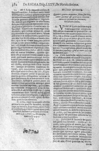 384