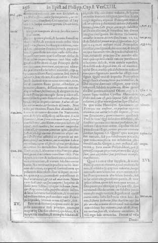 256