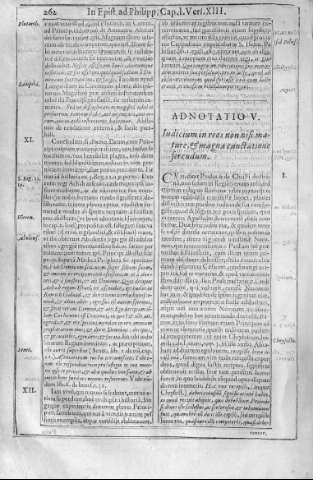 262