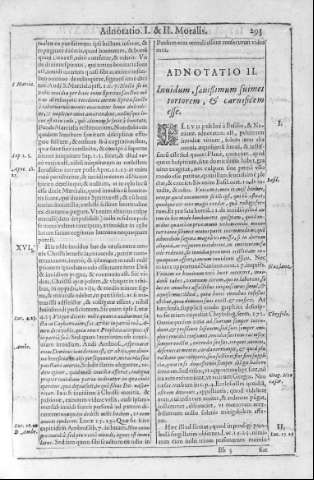 293