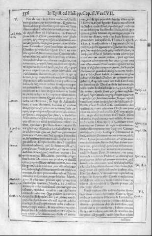 556